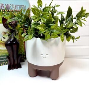 Melo Plant Pot, Tabletop Indoor Planter, Flower Pot, Homeware